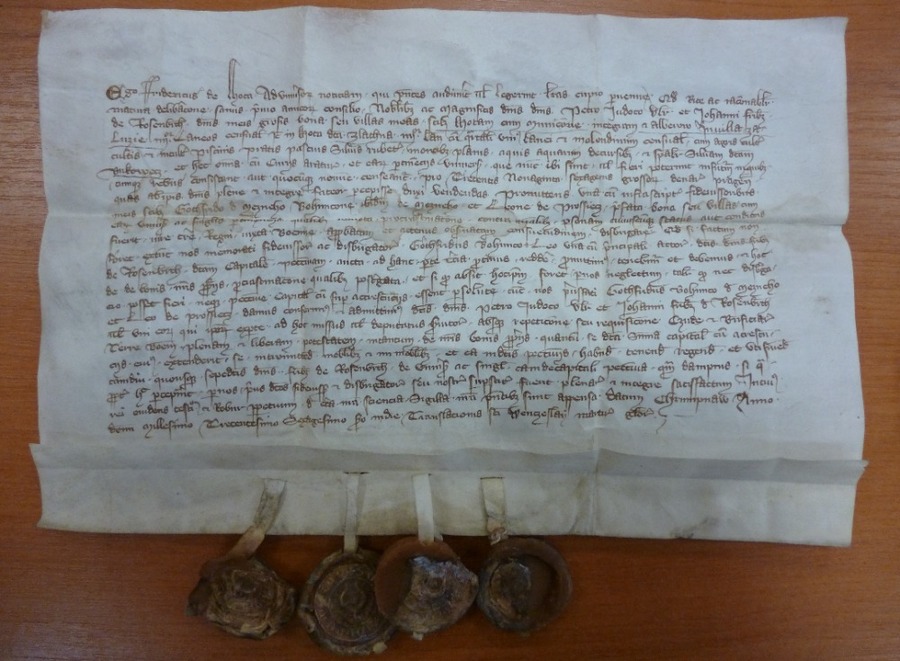 1362 - První zmínka o Mezné (SOA v Třeboni, Cizí statky Třeboň, I, sign. Alberov II, 1 1,  inv. č. 2), foto J. Kolář