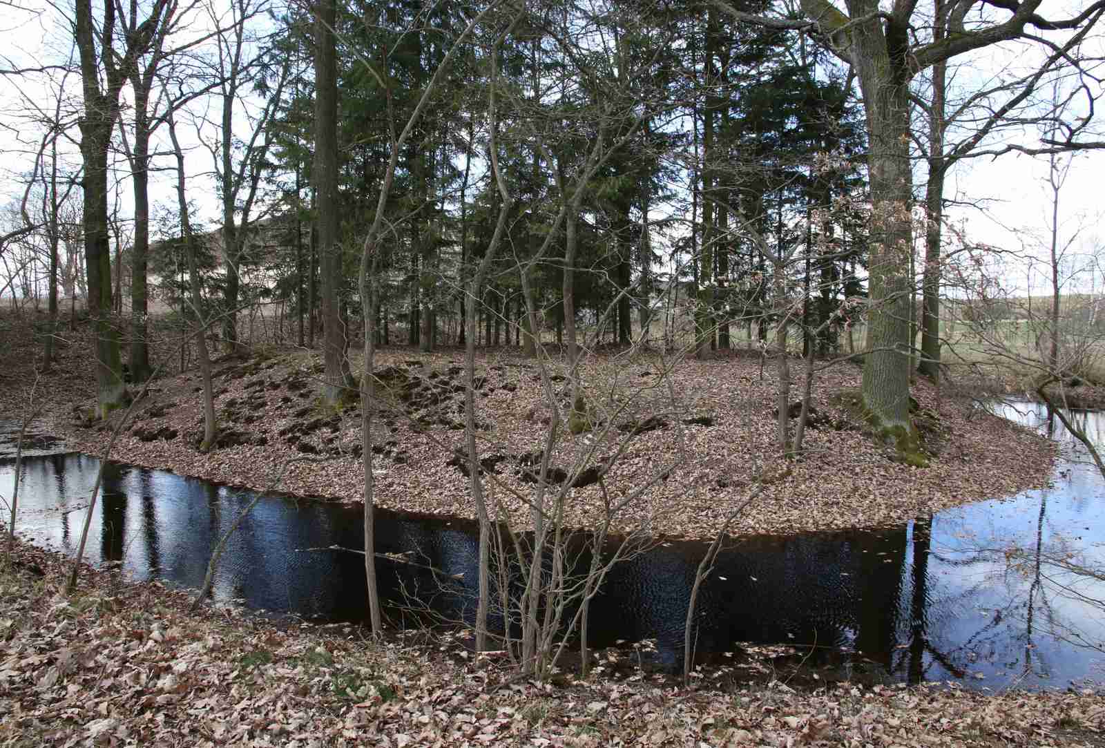 Středověké tvrziště (foto V. Jelínek)